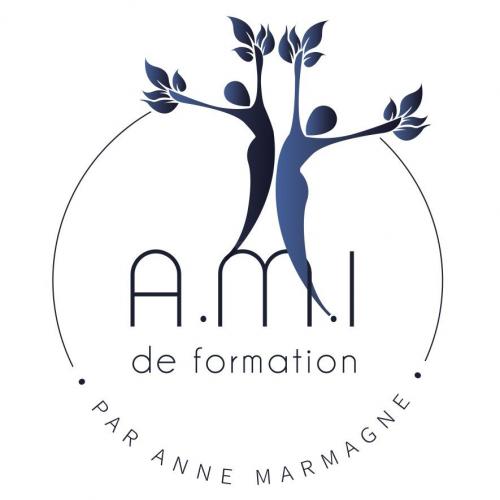 Logo ami final